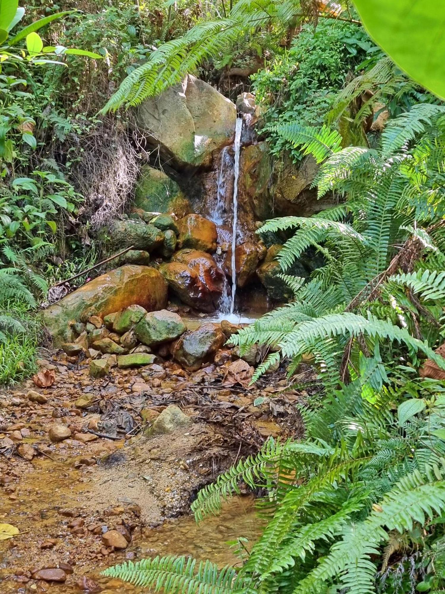 Coulibri Ridge Hotel Soufriere Ngoại thất bức ảnh