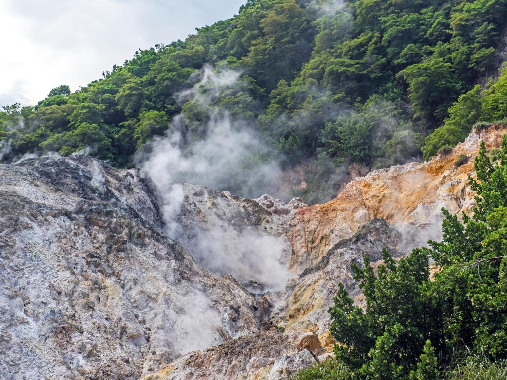 Coulibri Ridge Hotel Soufriere Ngoại thất bức ảnh